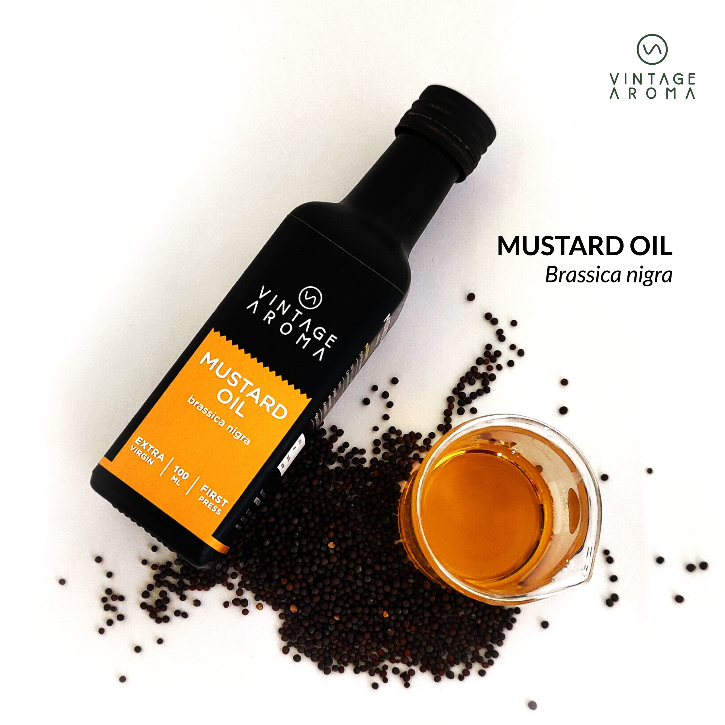 web brochure images.cdr