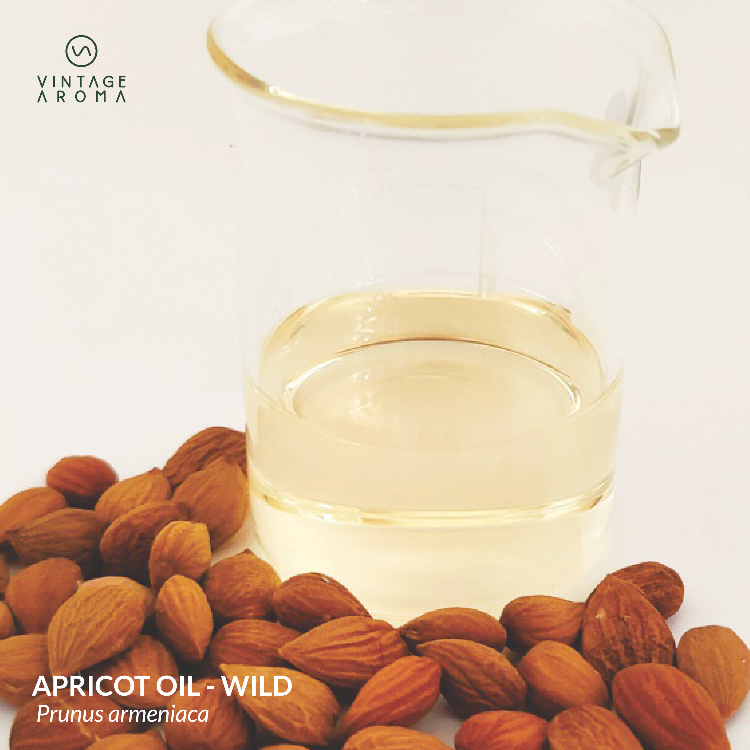 web brochure images.cdr