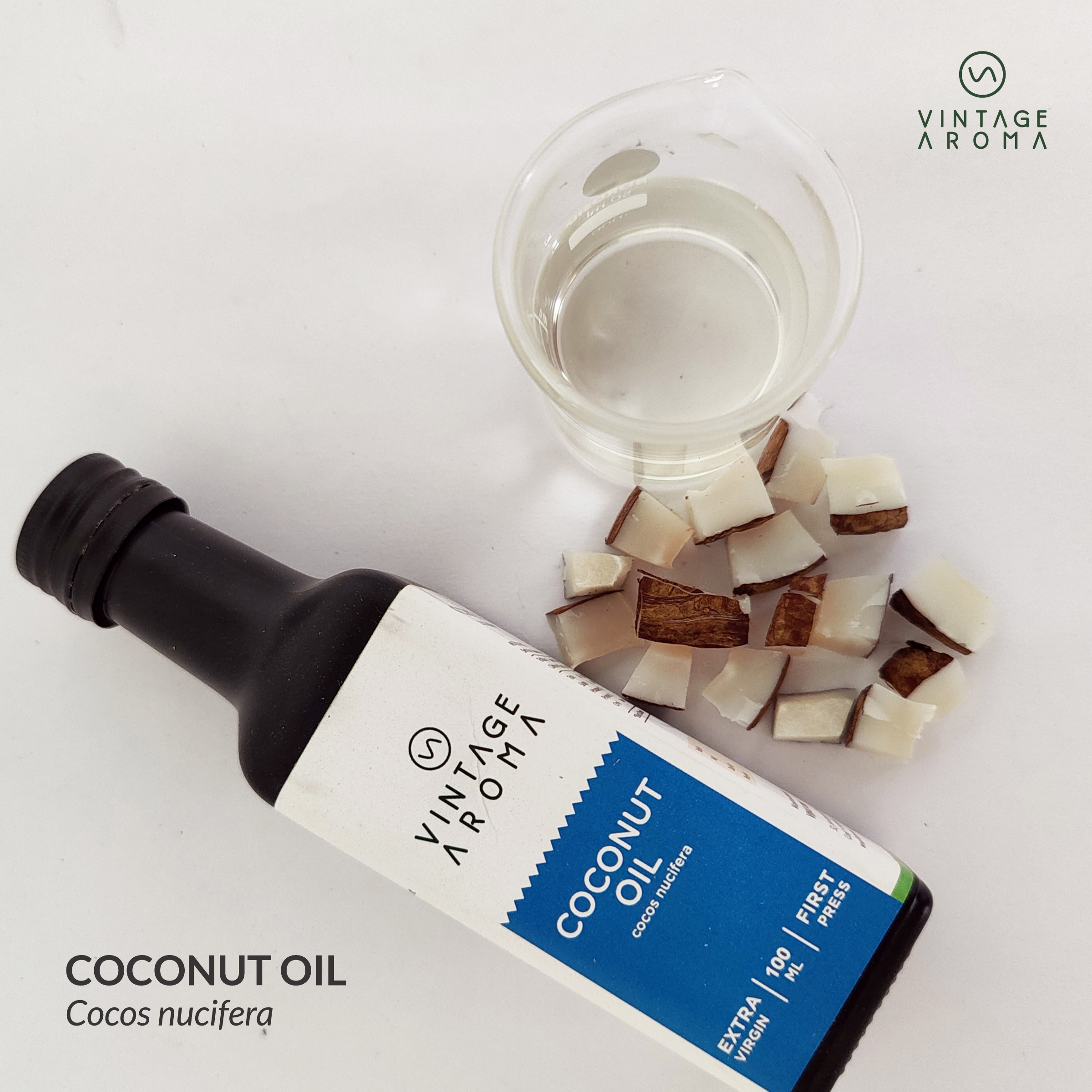 web brochure images.cdr