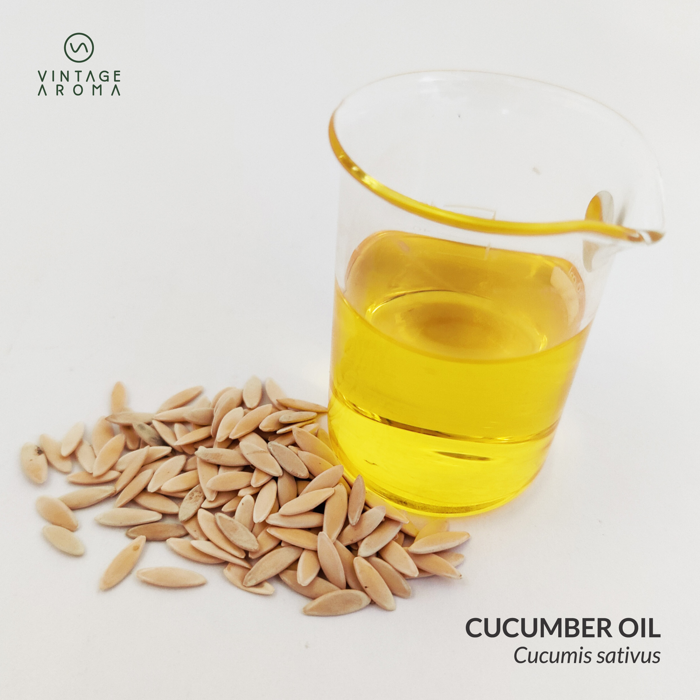 web brochure images.cdr