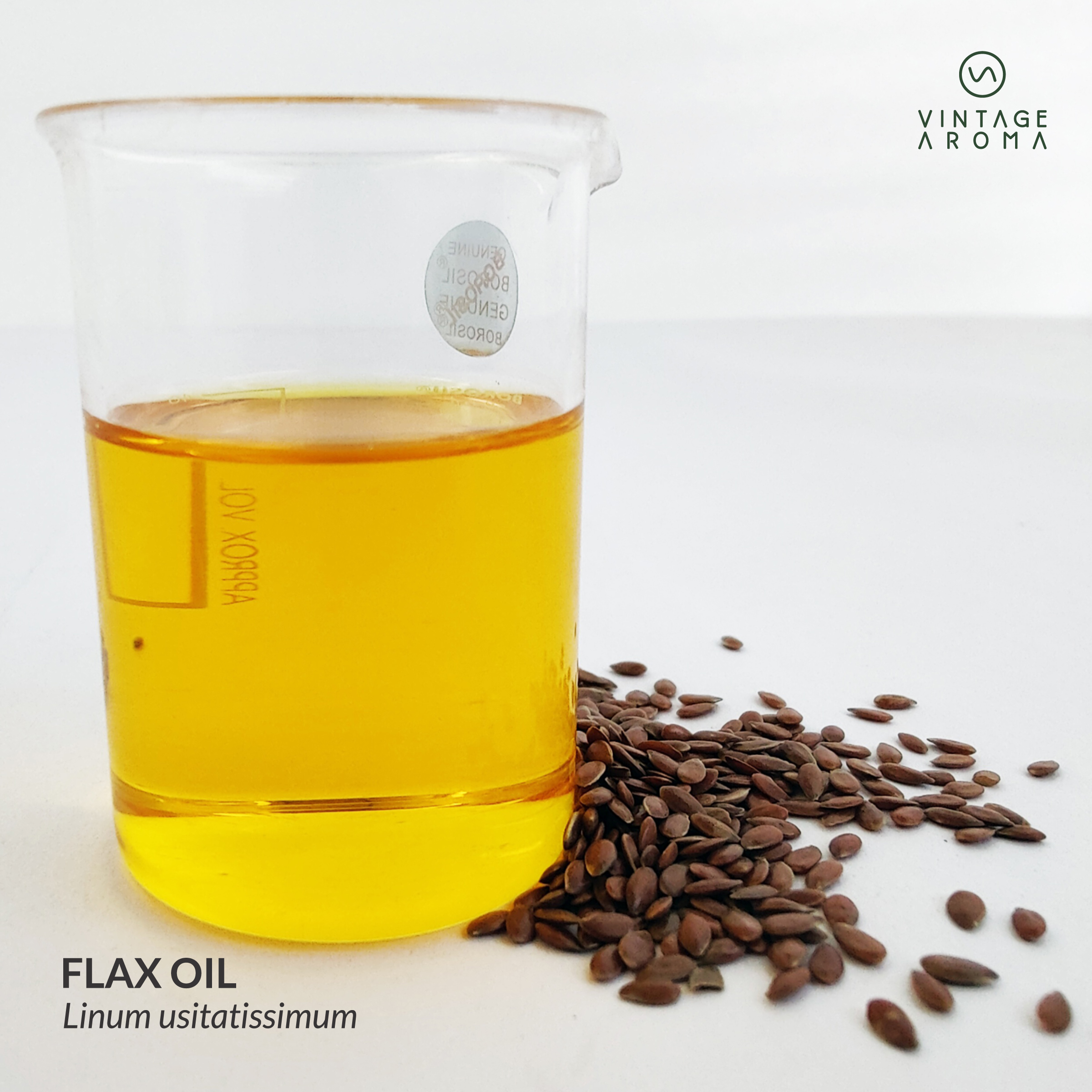 web brochure images.cdr