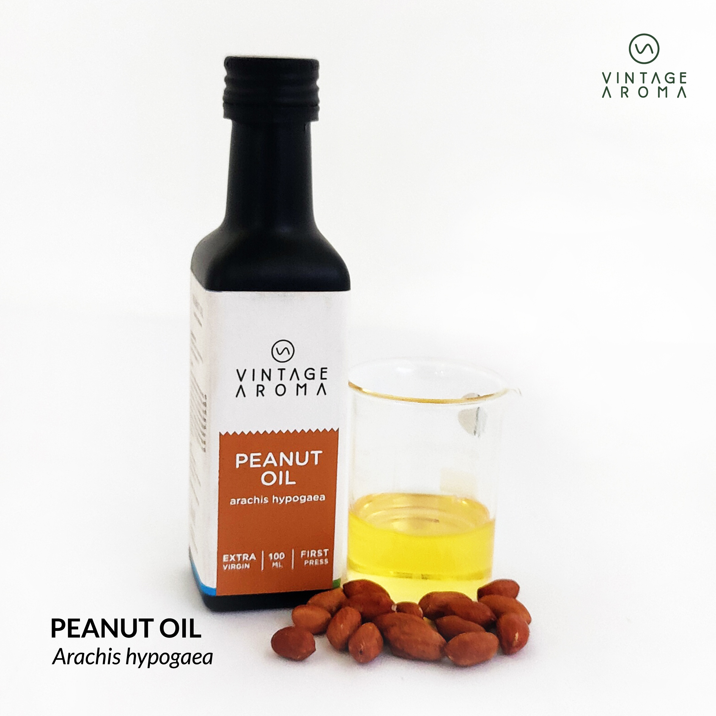 web brochure images.cdr