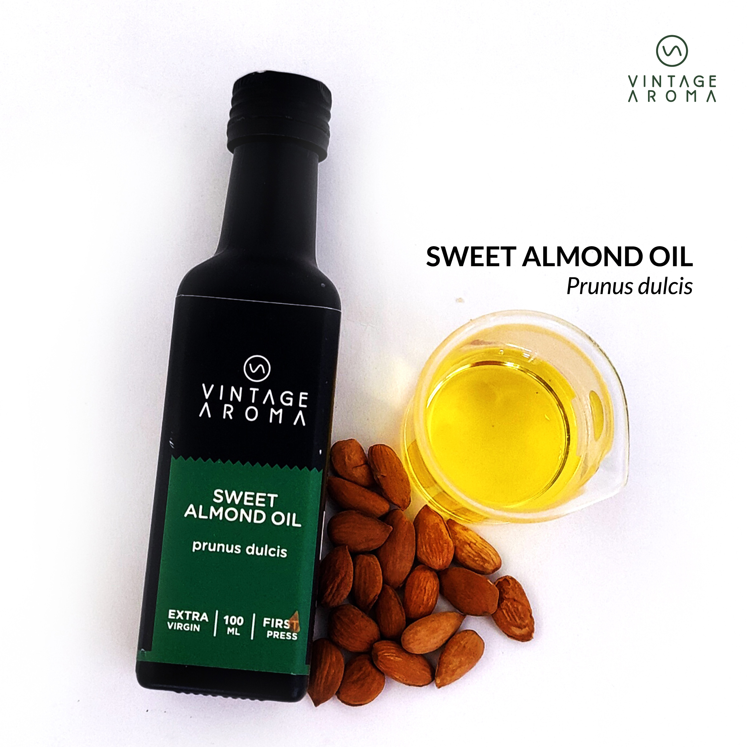 web brochure images.cdr