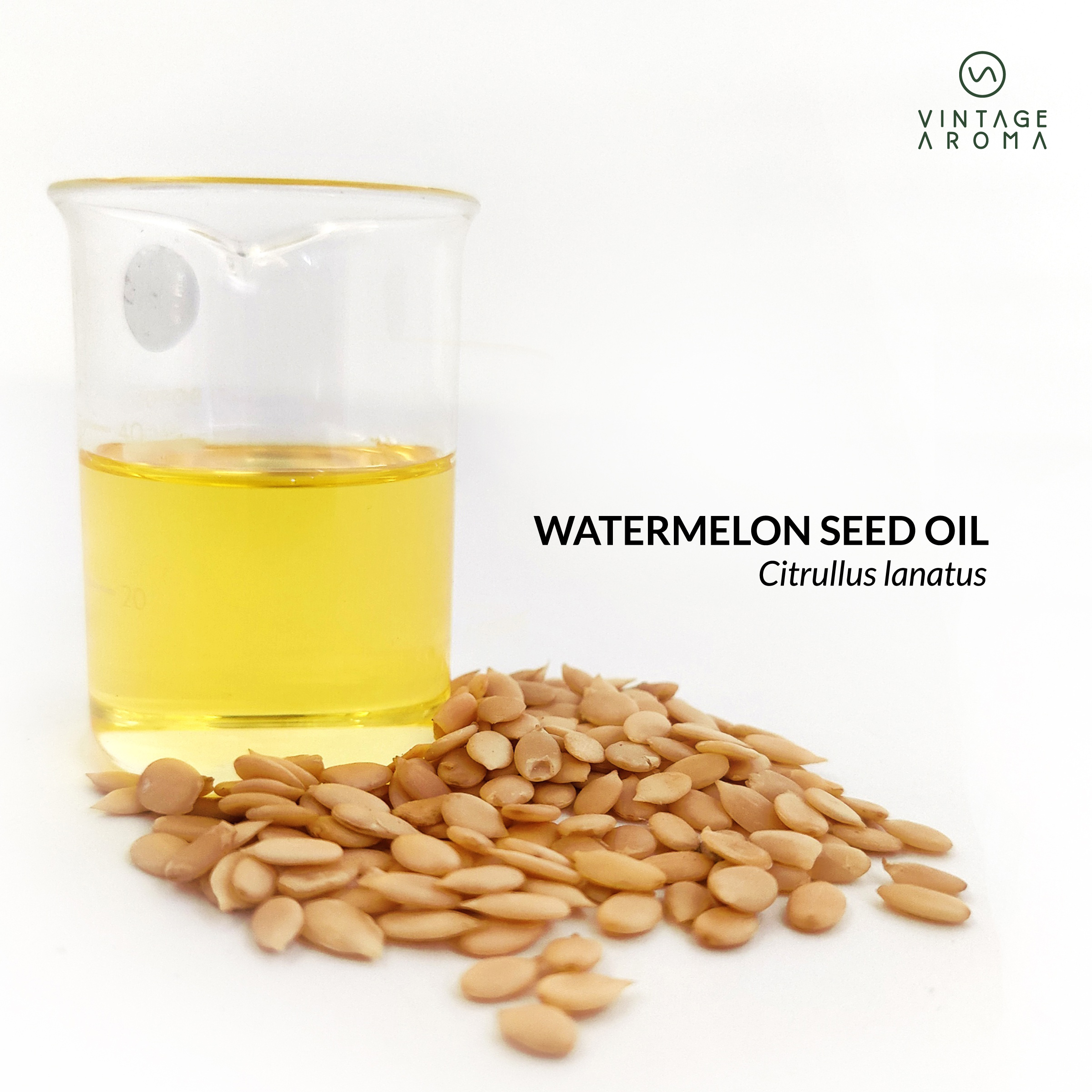 web brochure images.cdr