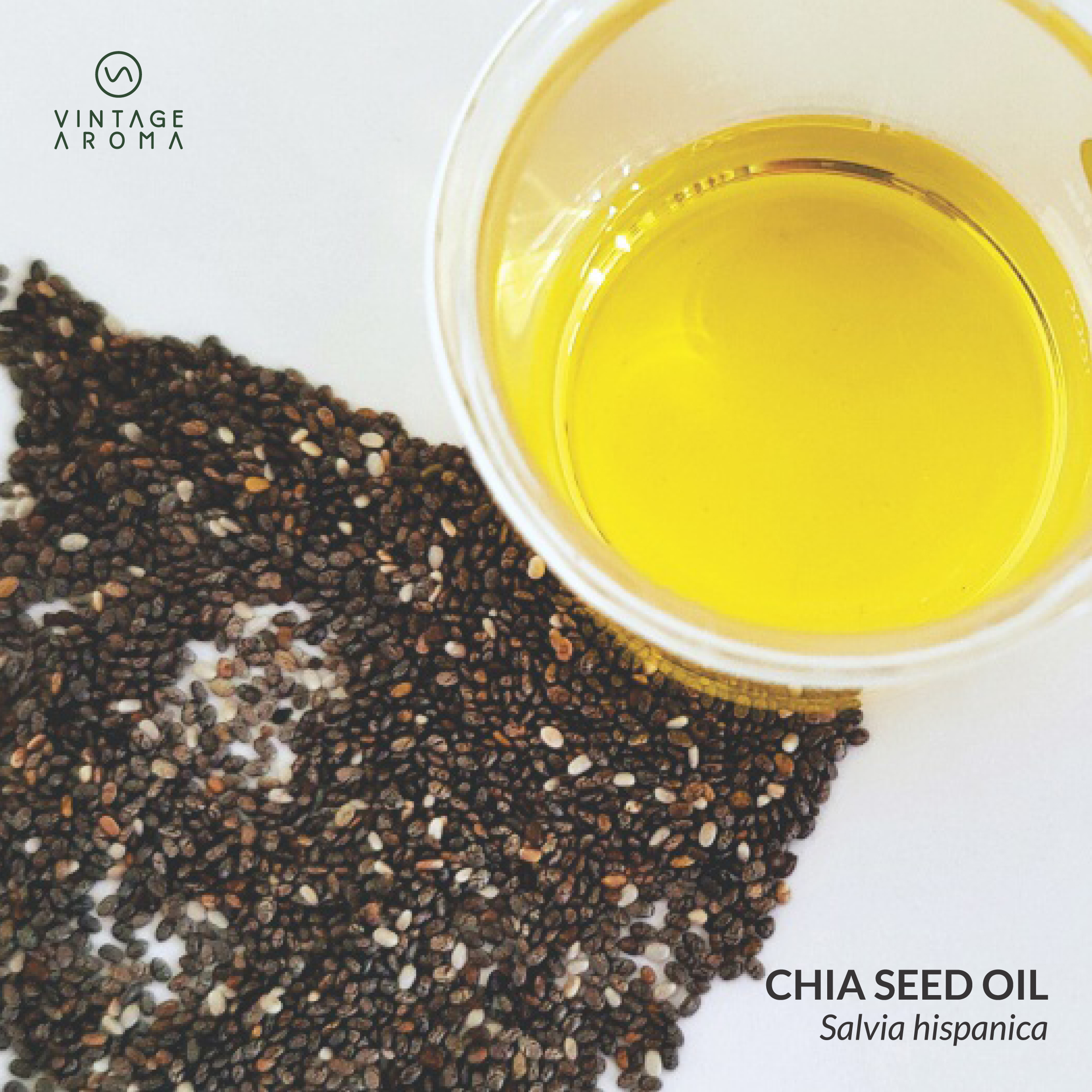 web brochure images.cdr