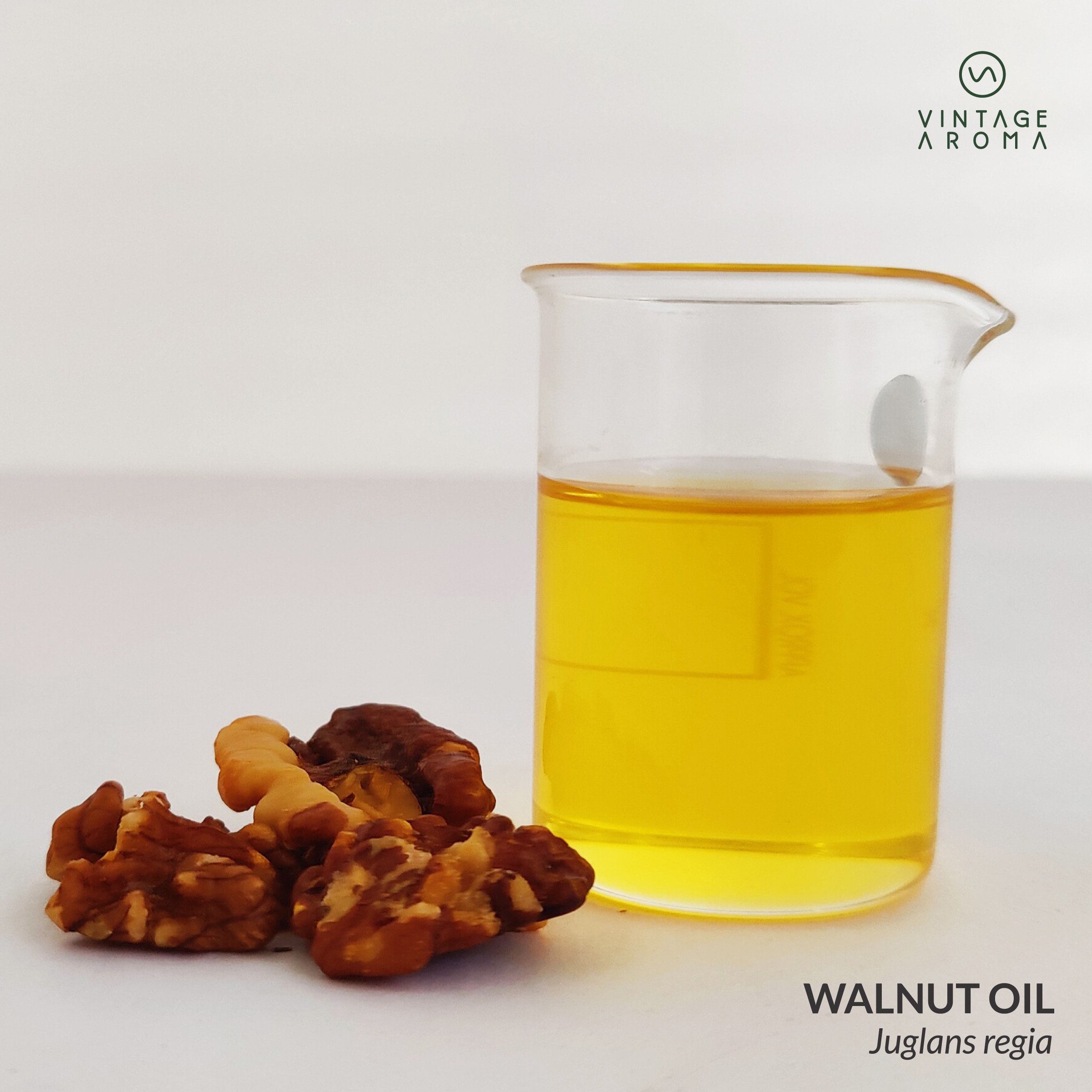 web brochure images.cdr